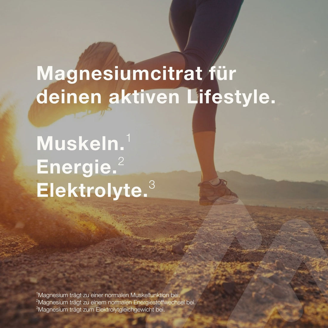 mons fortis magnesium citrat sport kapseln 120 stück