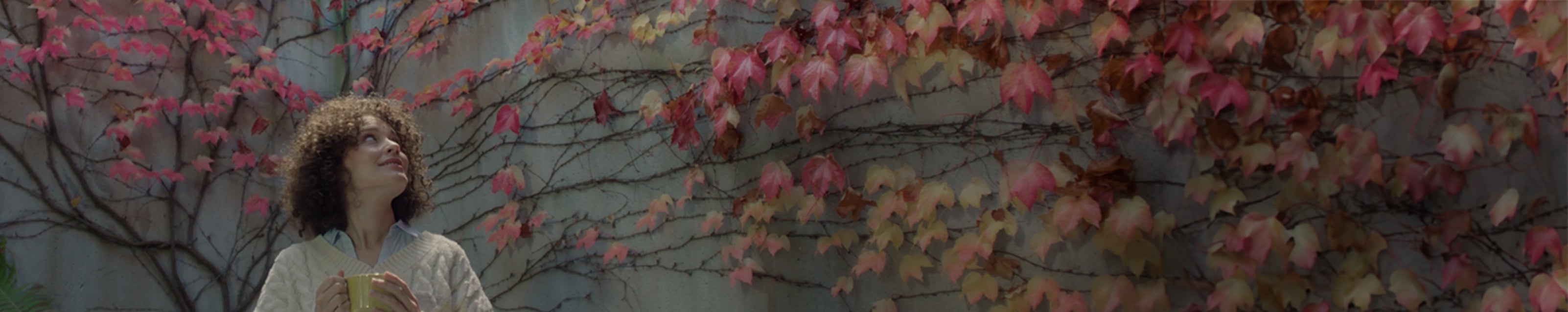 collection-banner-image